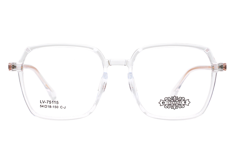 Wholesale Tr90 Glasses Frame 75115