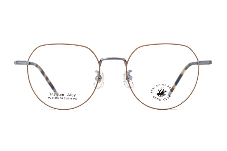 Wholesale Metal Glasses Frames 81005