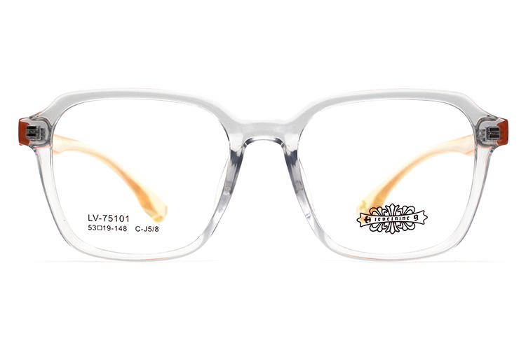 Tr90 Optical Frames 75101