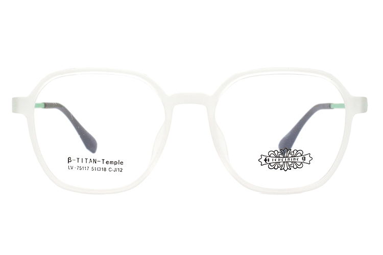 Wholesale Tr90 Glasses Frame 75117
