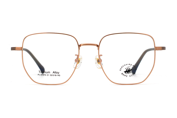Wholesale Metal Glasses Frames 81015