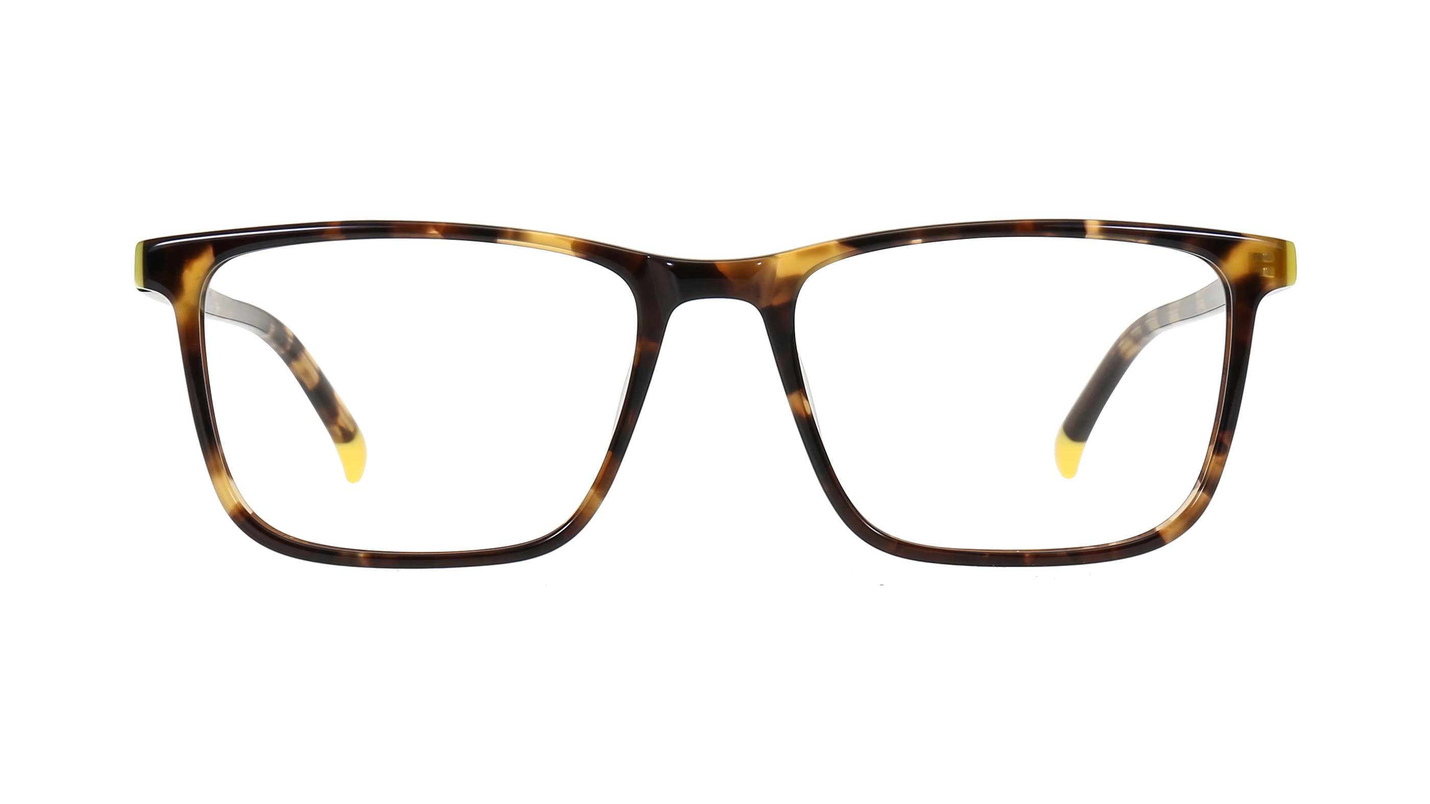 Trendy Acetate Spectacle Frames LM6017