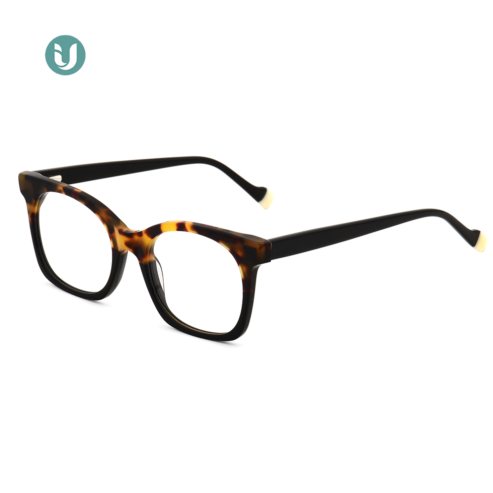 Wholesale Acetate Glasses Frame WXA21045