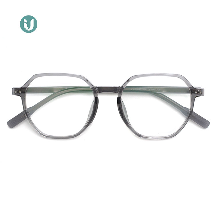 Wholesale Tr90 Glasses Frame 26062