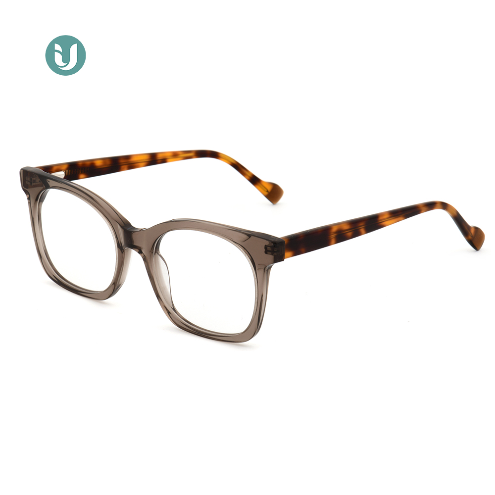 Wholesale Acetate Glasses Frame WXA21045
