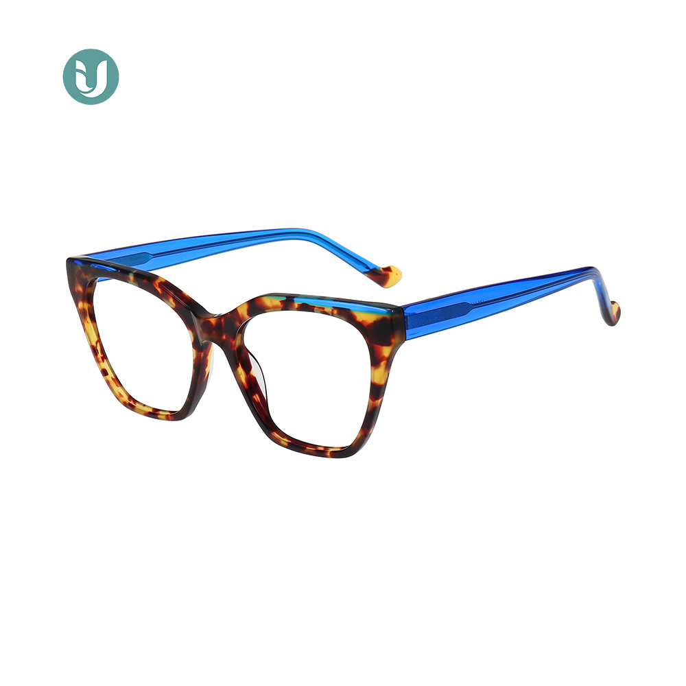 Plastic Optical Frames