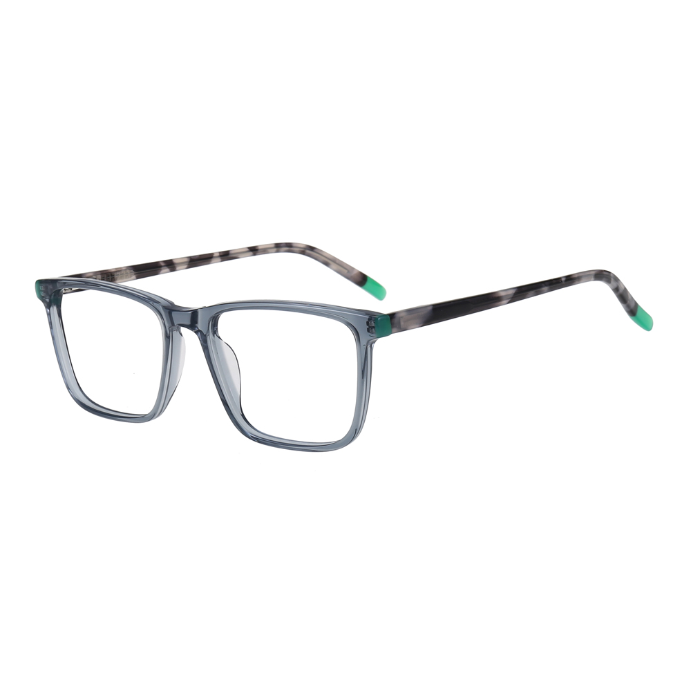 Trendy Acetate Spectacle Frames LM6017