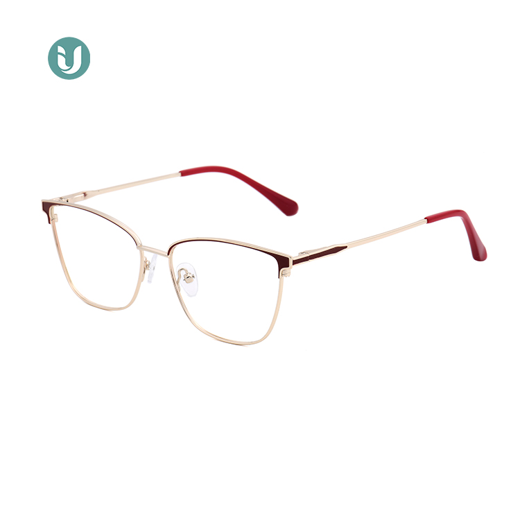 New Stylish Spectacles Frame