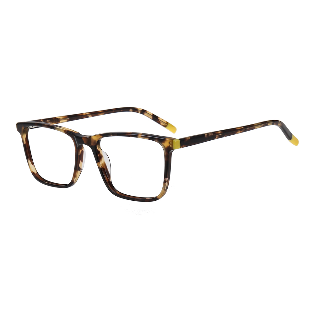 Trendy Spectacle Frame