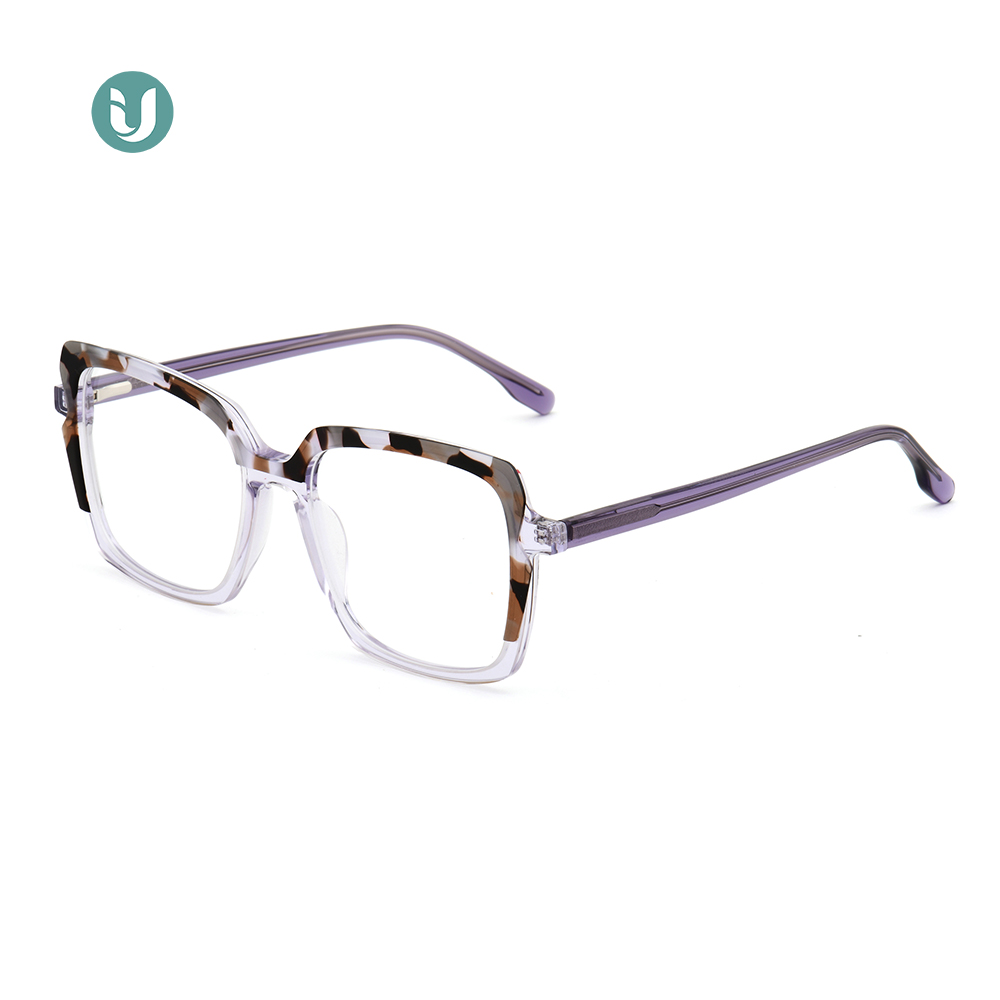 Large Frame Glasses