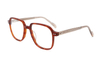 Acetate Thick Rimmed Spectacles FG1245