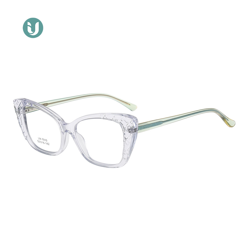 New Eye Glass Frames